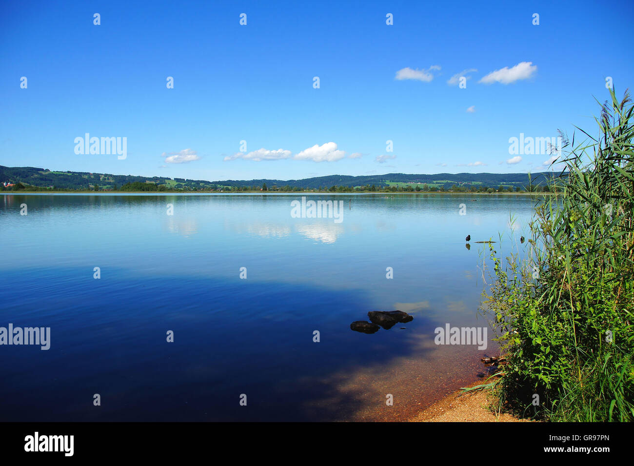 Il lago di Kochel bordo delle Alpi in Baviera in estate Foto Stock