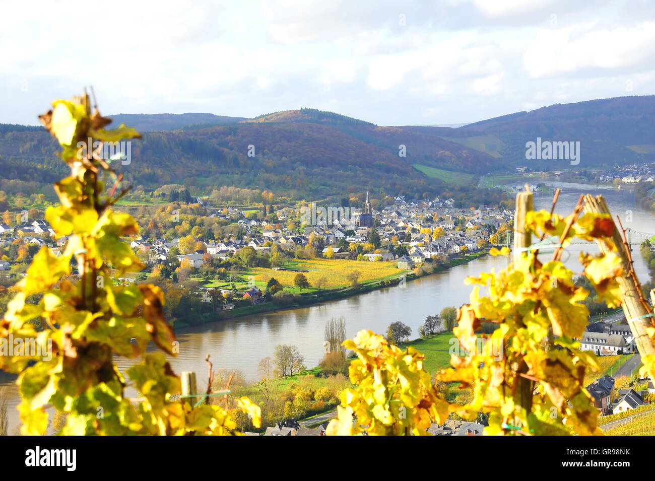 Il Villaggio del vino Wehlen sulla Mosella in autunno Foto Stock