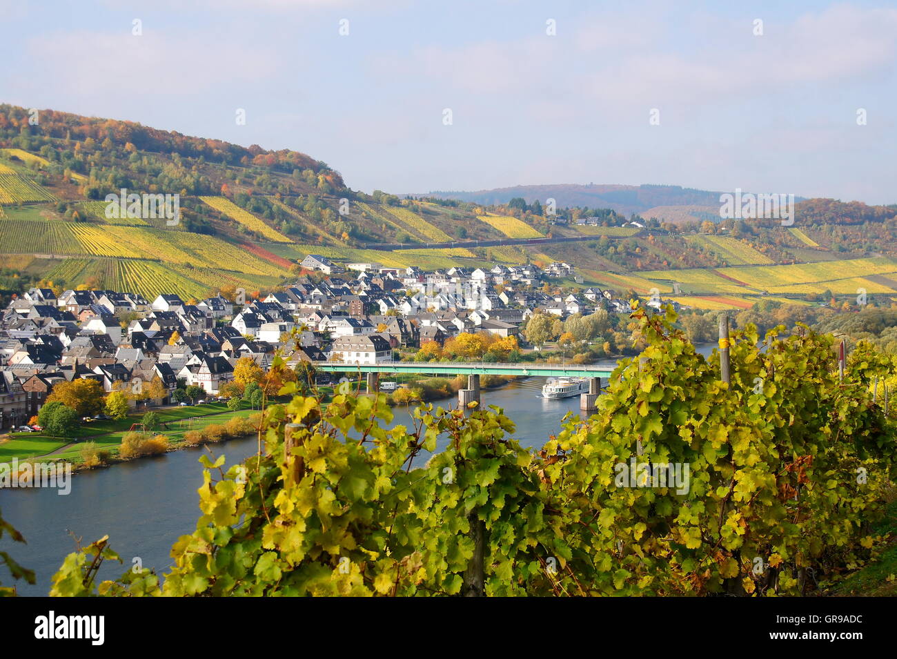 Il Villaggio del vino Reil sulla Mosella in autunno Foto Stock