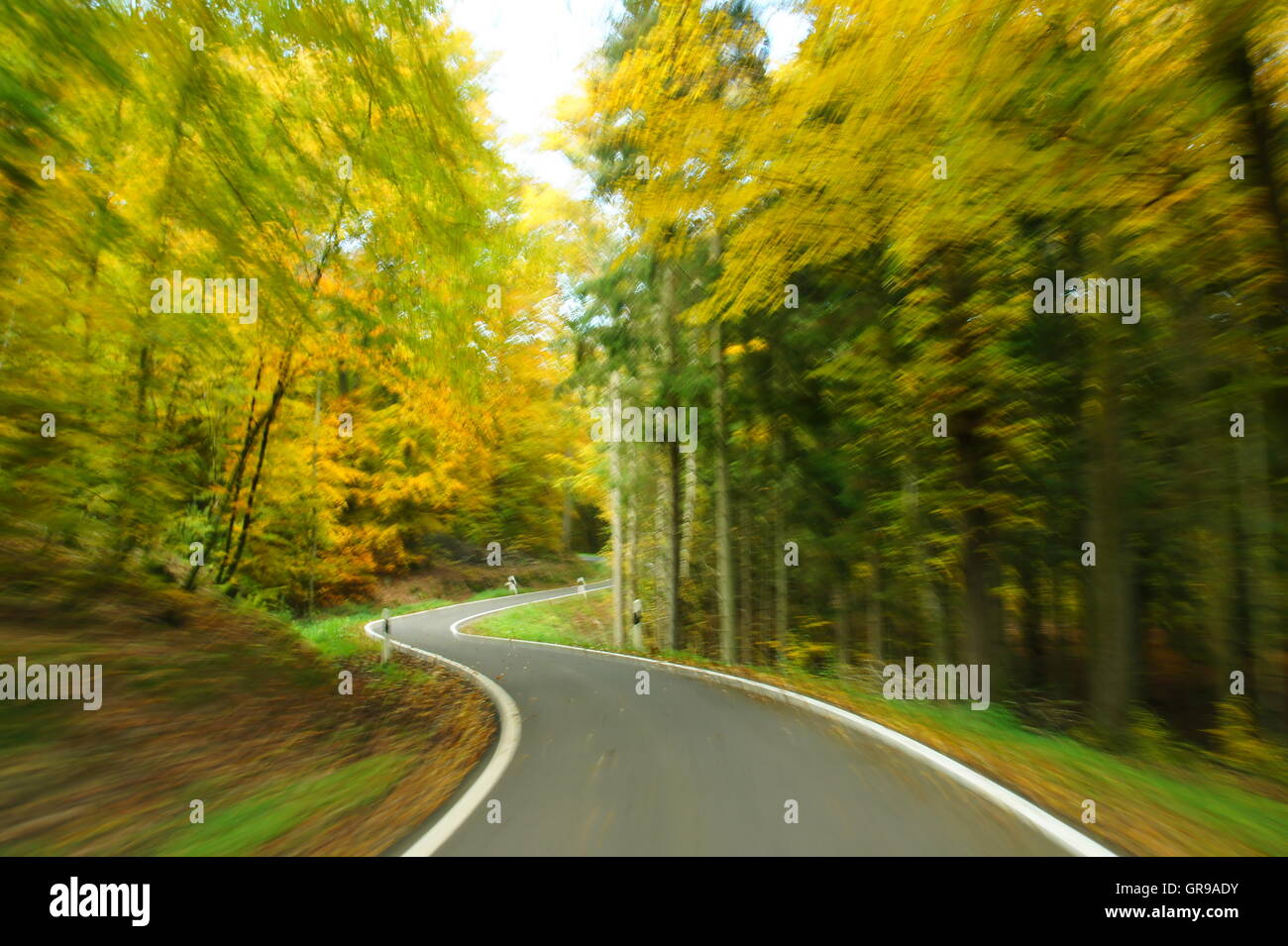 La guida attraverso una foresta verde con forte sfocatura del movimento Foto Stock