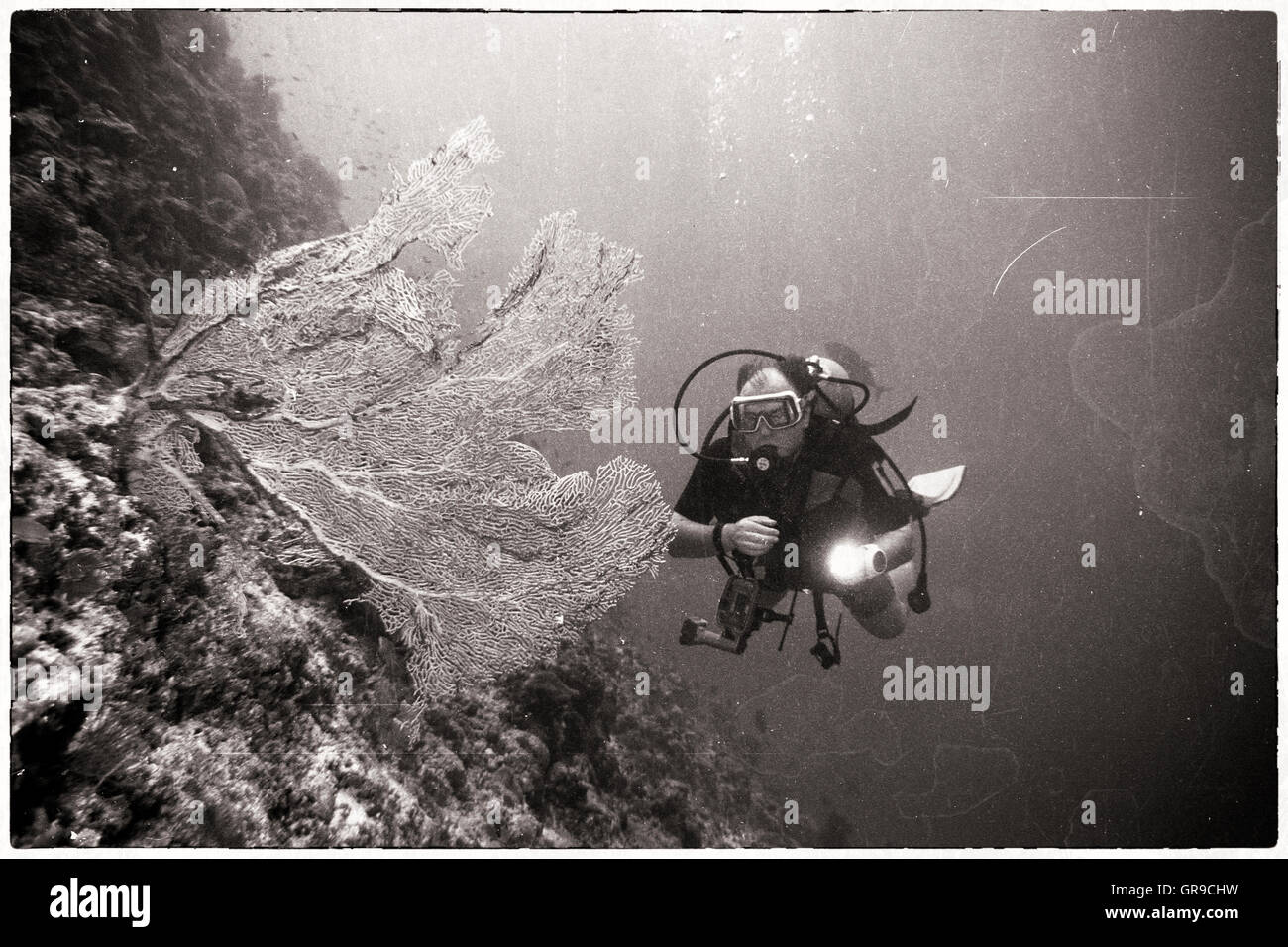 Scuba Diver al Reefside Foto Stock