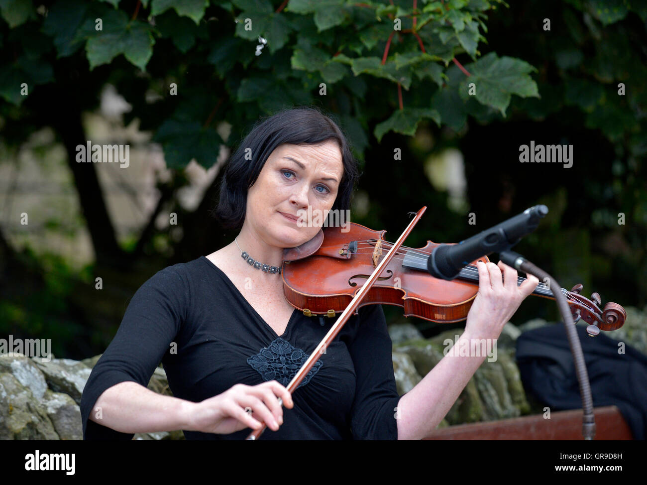 Musicista irlandese la riproduzione di musica tradizionale su un violino. ©George Sweeney/Alamy Foto Stock