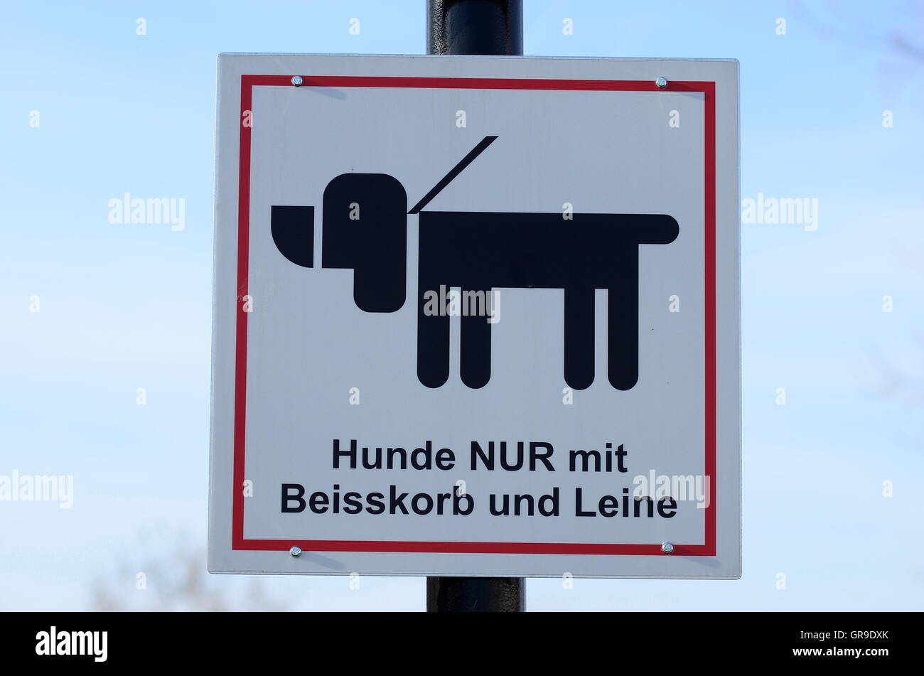 Segni, cane al guinzaglio Foto Stock