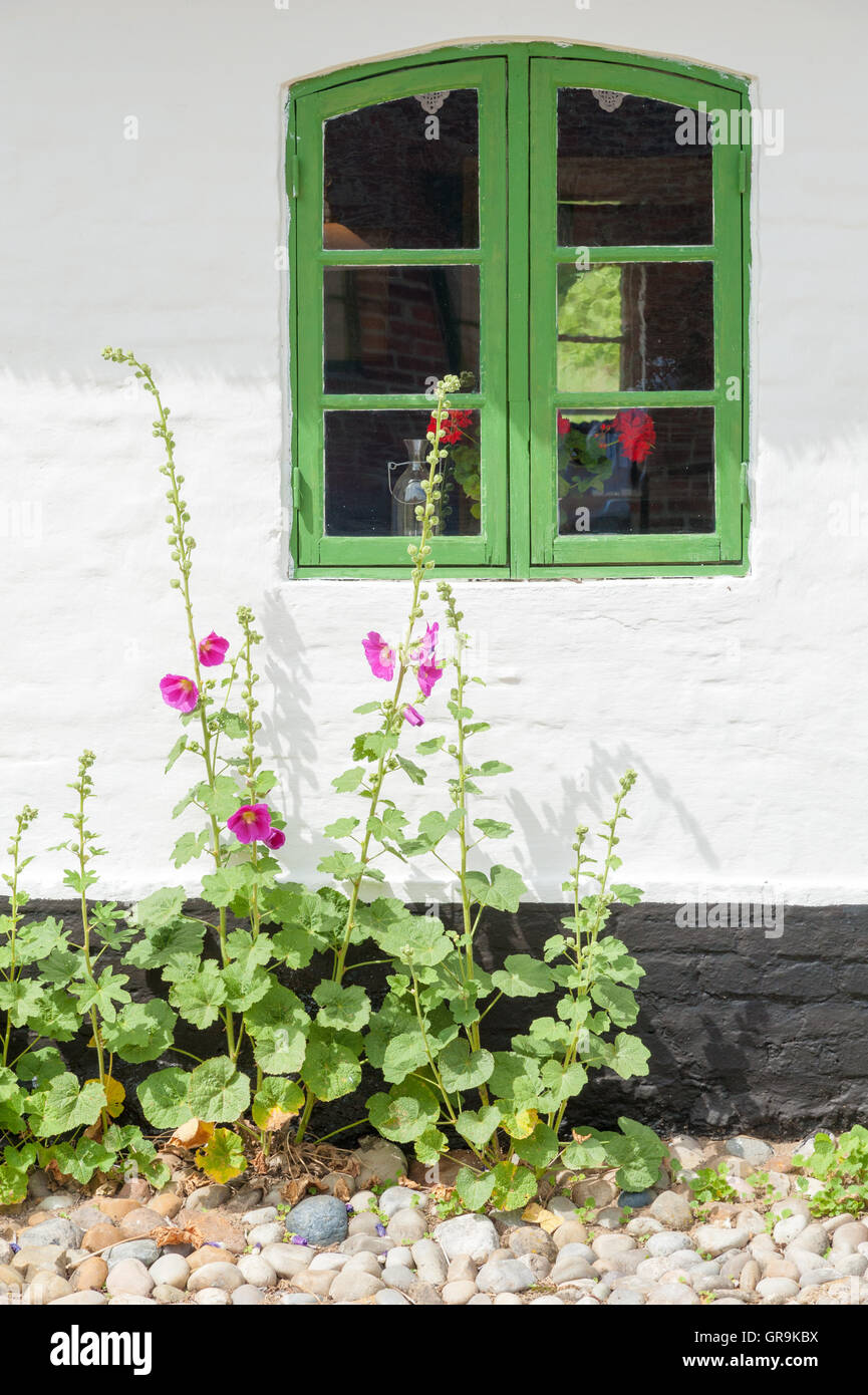 Mulino ad acqua, Danimarca finestra Dettaglio Foto Stock