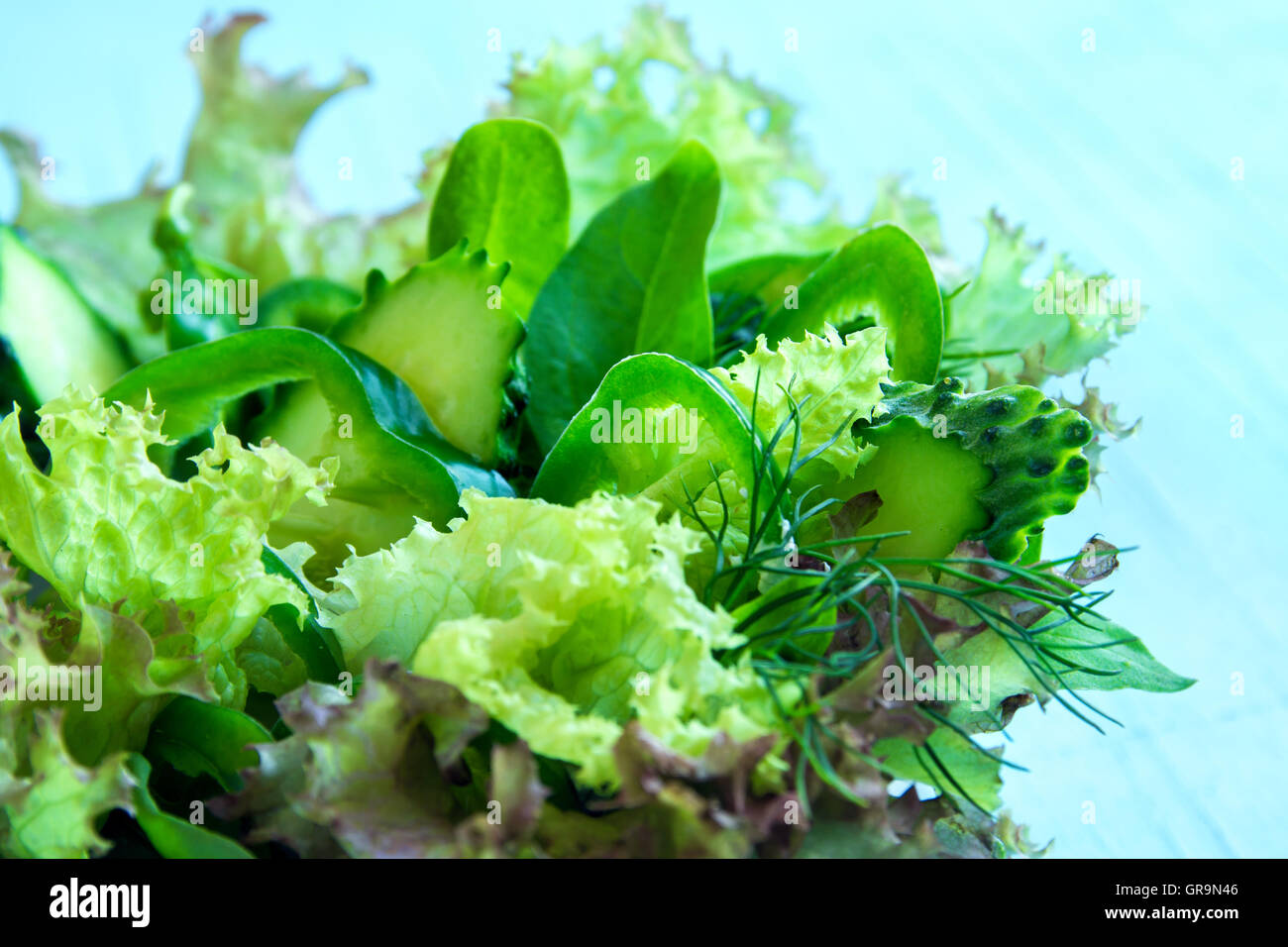 Organico verde mista insalata di verdure in vaso Foto Stock