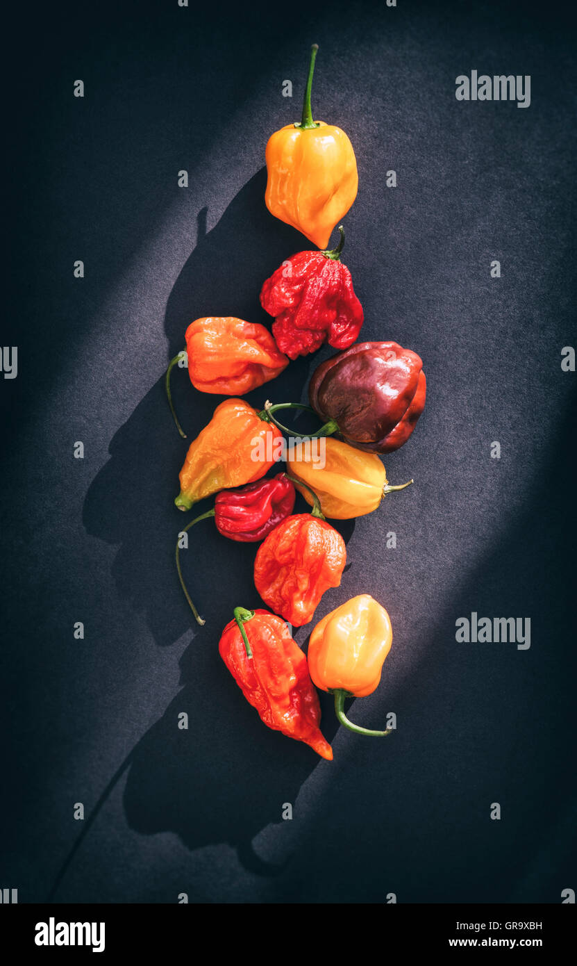 Peperoncini piccanti su sfondo scuro Foto Stock