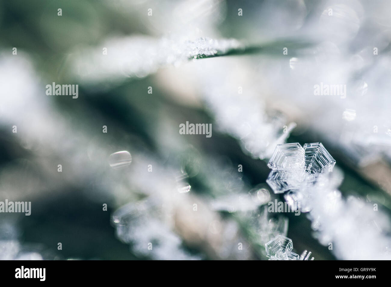 Cristallo di ghiaccio Foto Stock