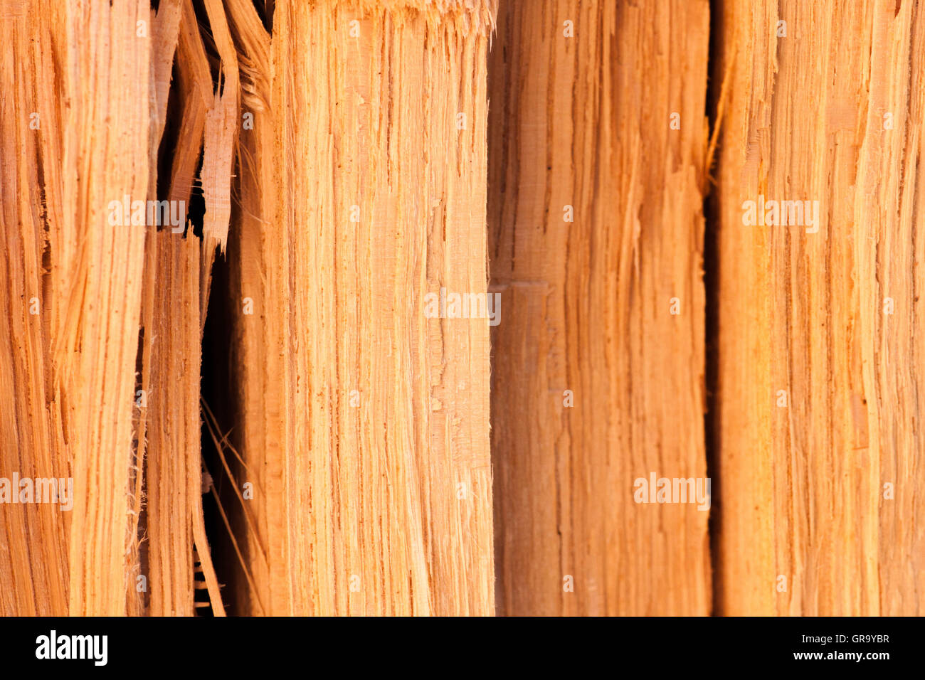 Struttura in legno Foto Stock
