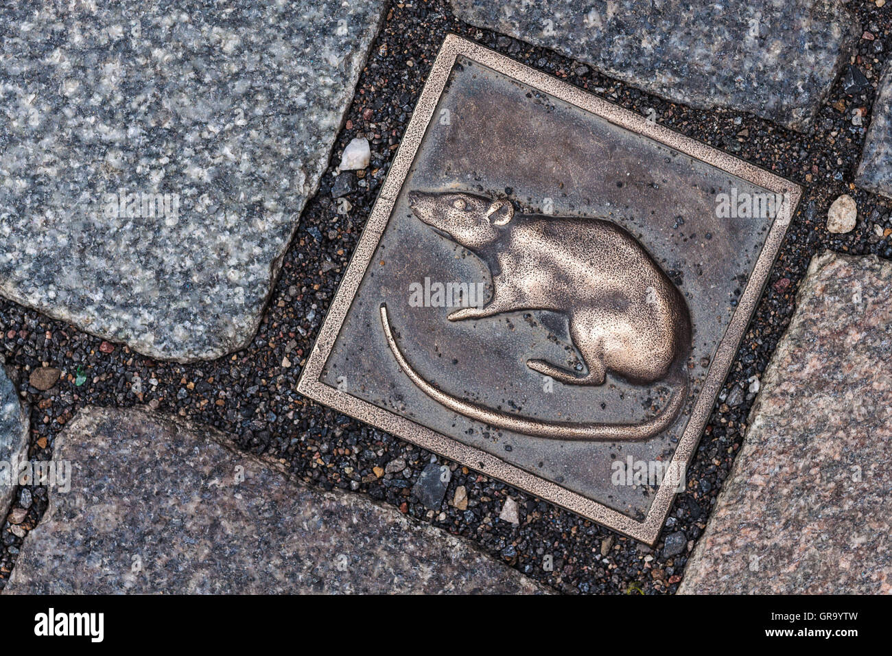Il bronzo ratto come una guida per la pavimentazione della città di Hamelin Foto Stock