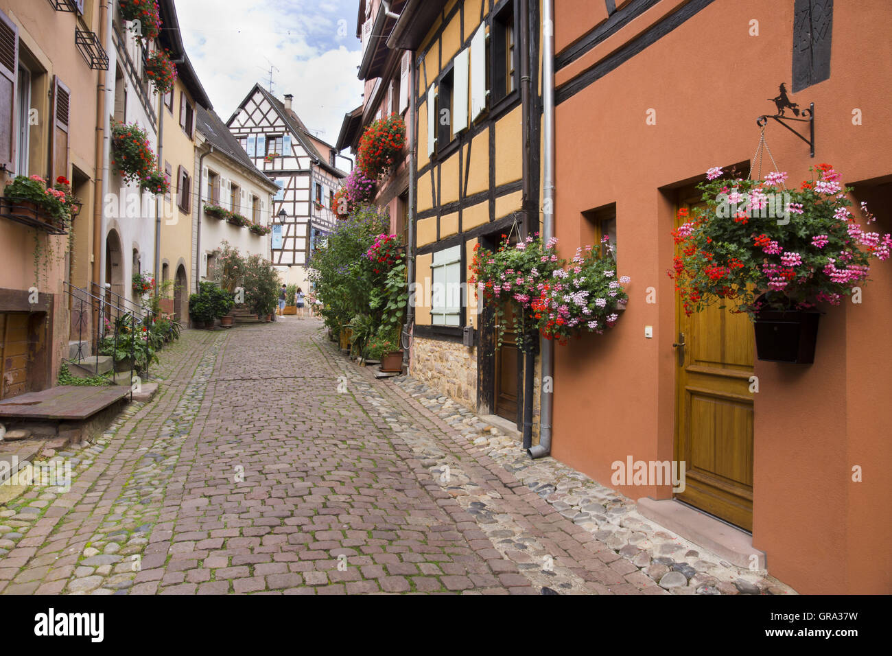 Eguisheim, Alsazia, Francia, Europa Foto Stock