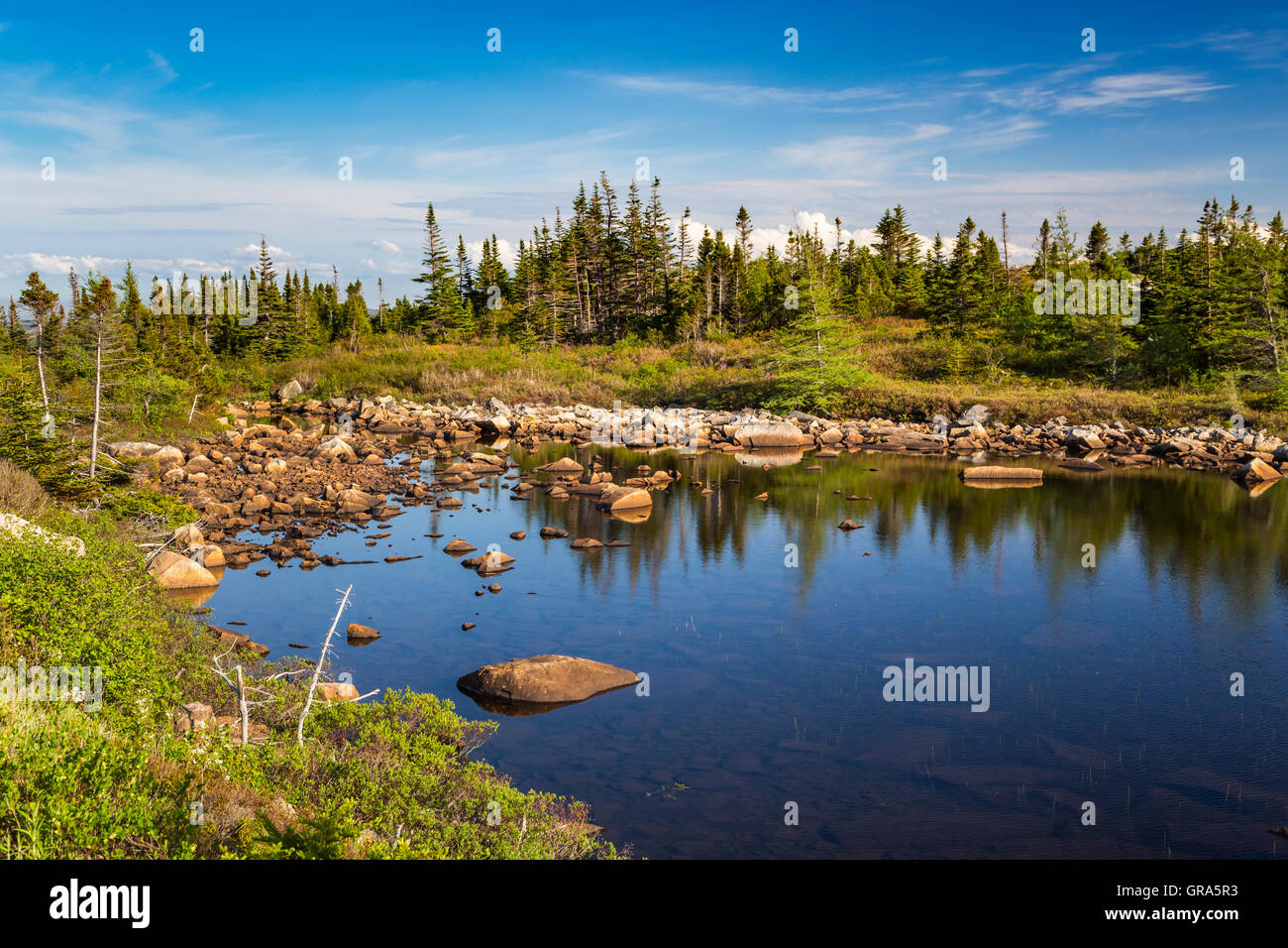 Una zona umida stagno vicino brandeggio, Terranova e Labrador, Canada. Foto Stock