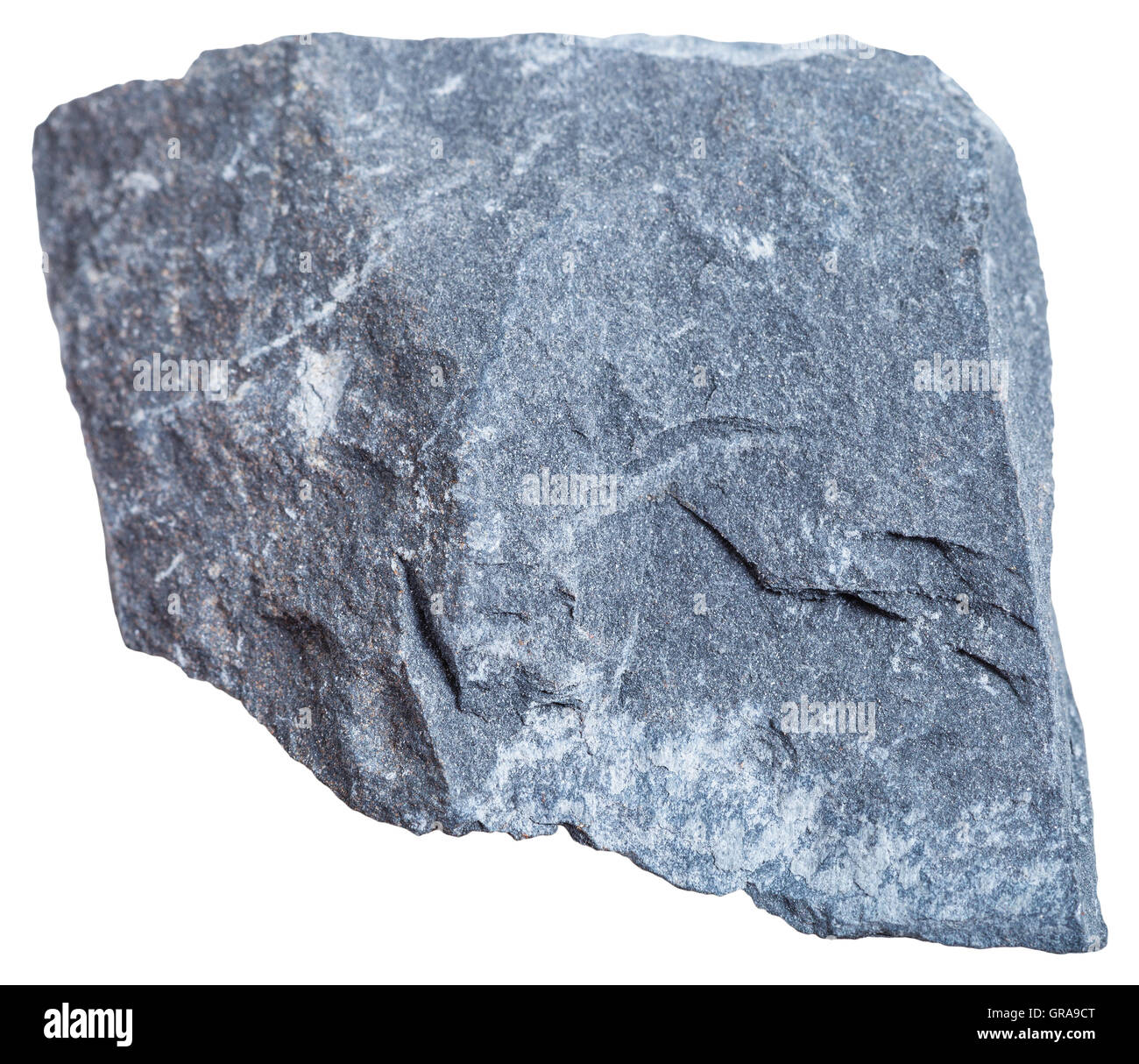 Le riprese in modalità macro di roccia sedimentaria esemplari - Argillite (mudstone) pietra isolato su sfondo bianco Foto Stock