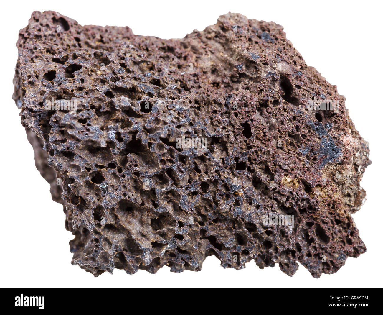 Le riprese in modalità macro della roccia ignea esemplari - marrone naturale minerale di pomice isolati su sfondo bianco Foto Stock