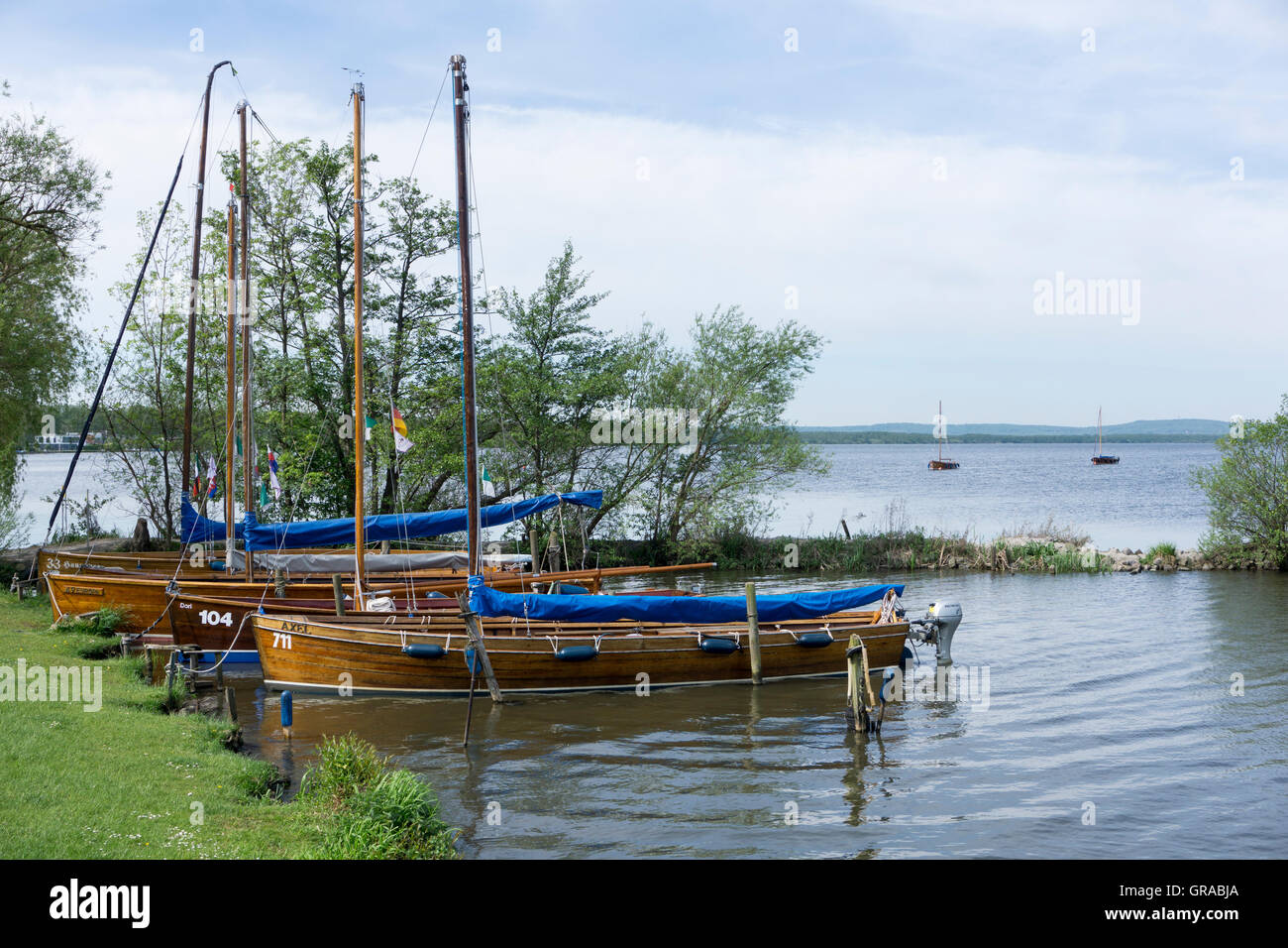 Steinhuder Meer, il Lago Steinhude, Wunsdorf, Bassa Sassonia, Germania, Europa Foto Stock