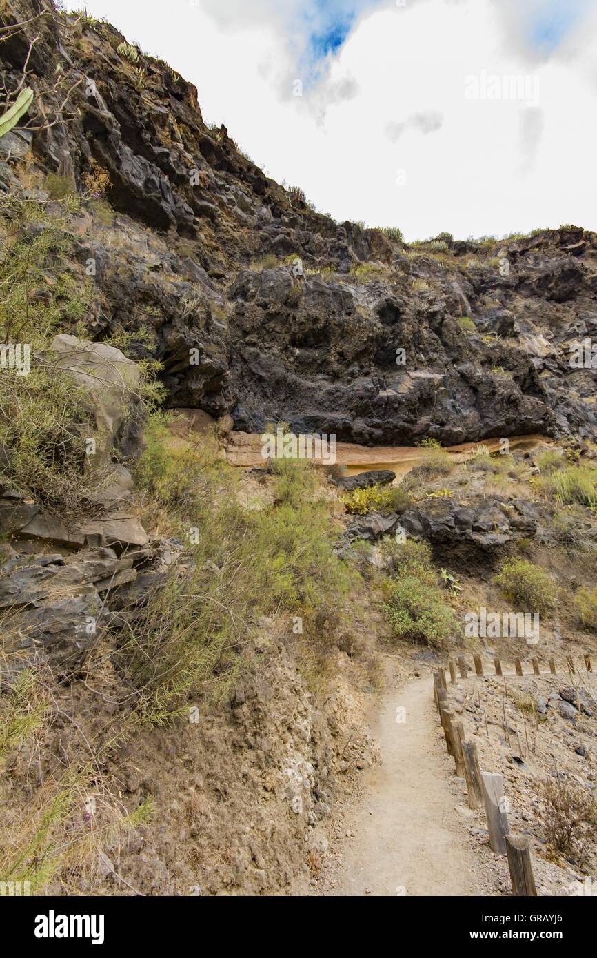 Escursionismo in Hell Canyon con tombe rupestri Guanche in Adeje, Tenerife, Isole Canarie Foto Stock