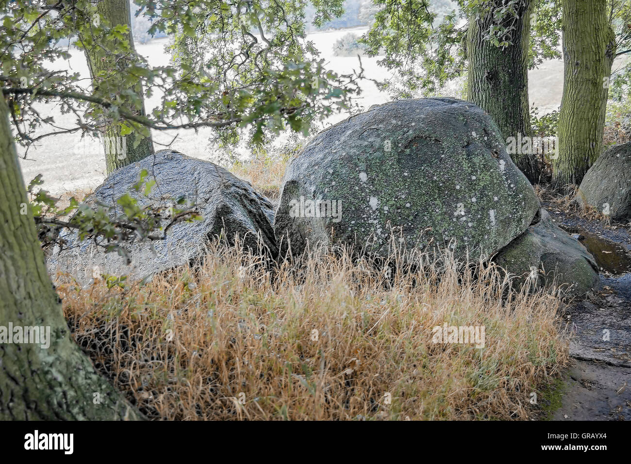 Chambered megalitico tomba nei pressi Lancken-Granitz Nr. 2 Secondo Schuldt vista da est Foto Stock