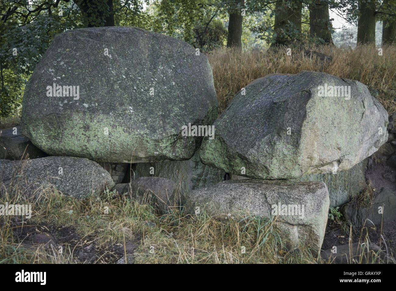 Tomba megalitica Lancken-Granitz n. 2 Secondo Schuldt vista da Sud Foto Stock