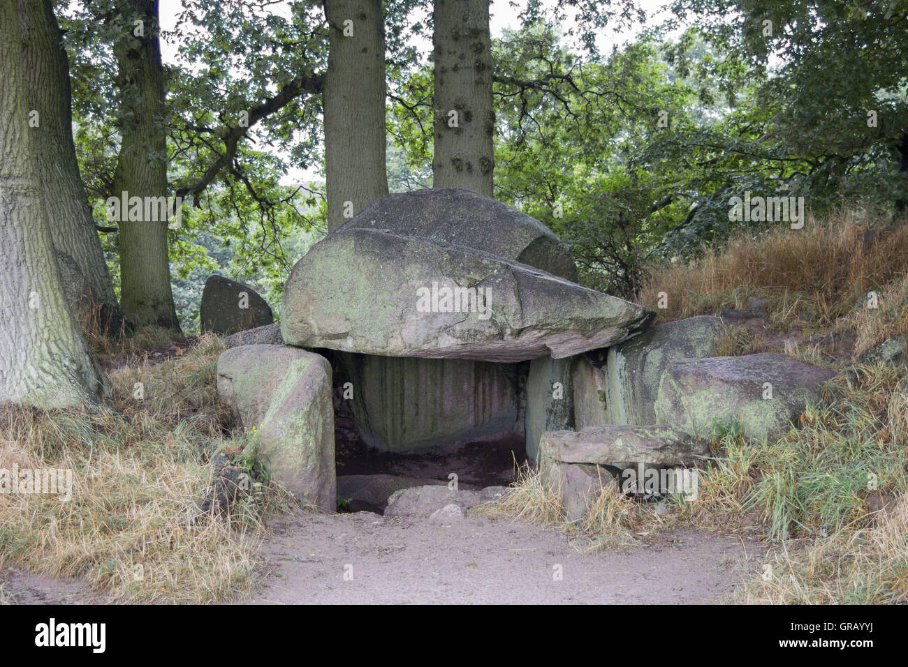 Tomba megalitica Lancken-Granitz n. 2 Secondo Schuldt West ingresso laterale Foto Stock