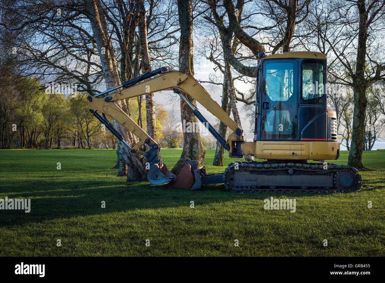 Bagger o escavatore tra gli alberi al Golf and Fishing club, Fossa, Killarney National Park, County Kerry, Irlanda Foto Stock