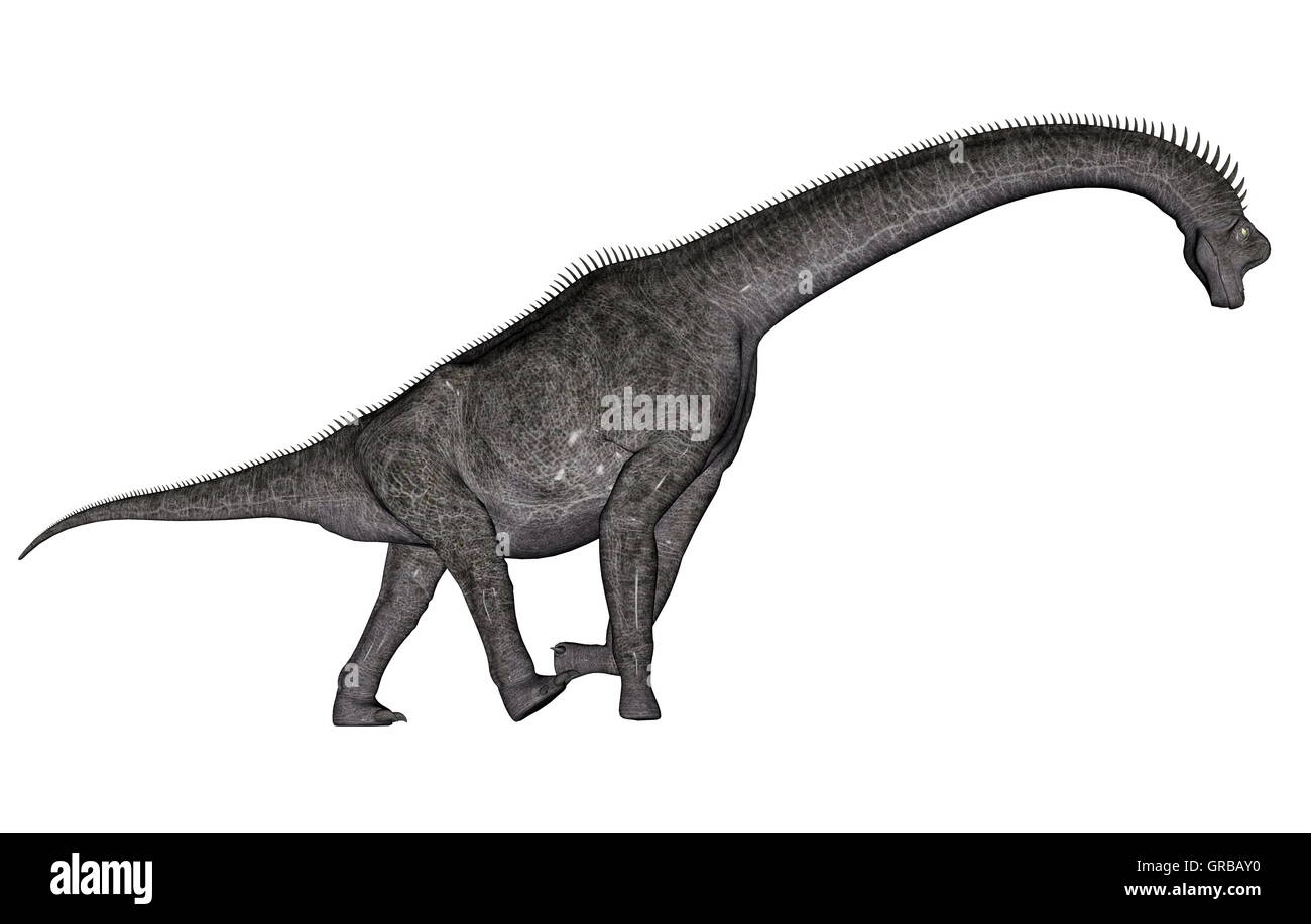 Dinosauro Brachiosaurus Foto Stock