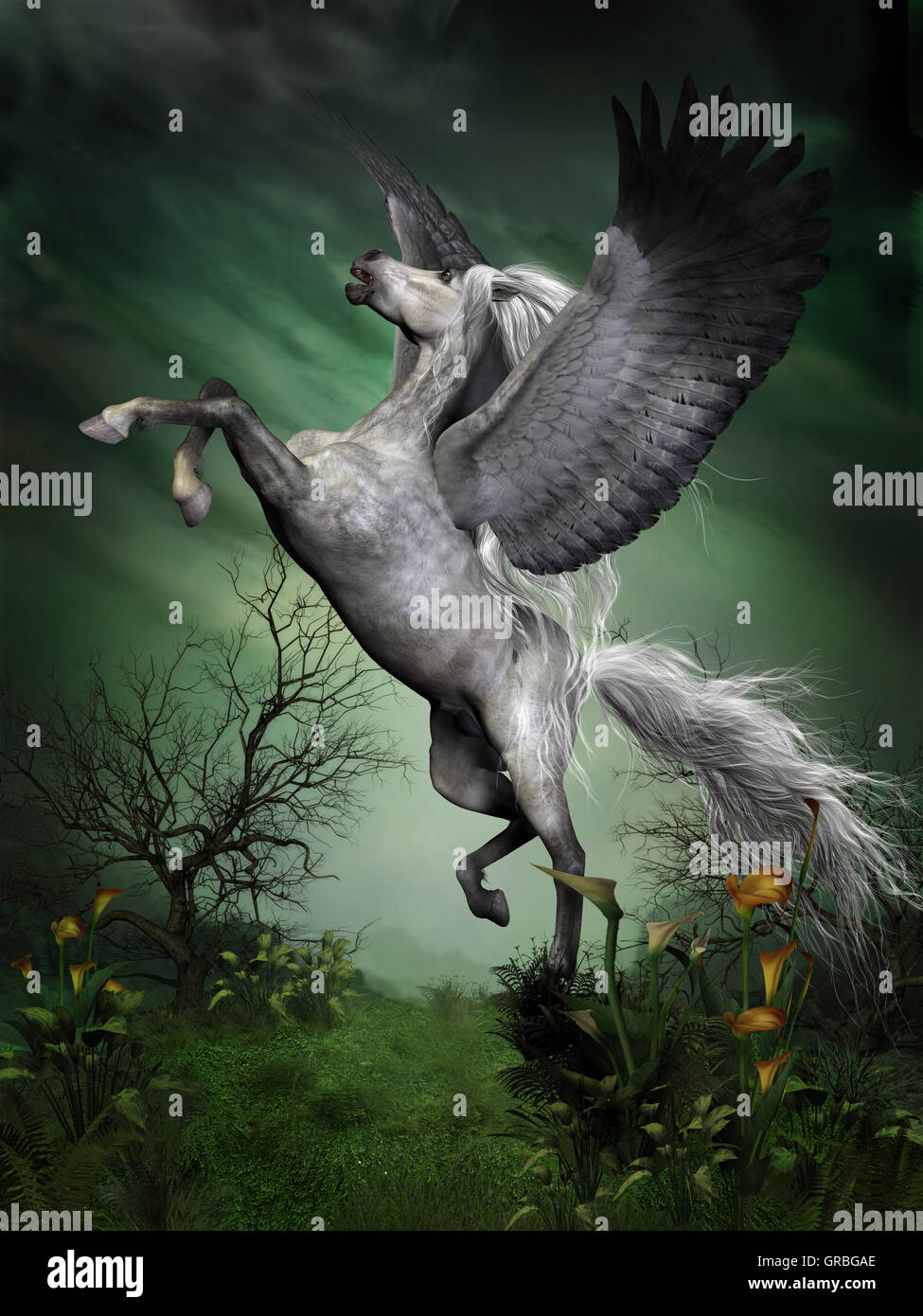 Colline punteggiano Pegasus grigio Foto Stock