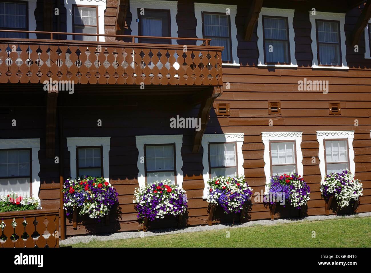 Finestra fioriere, molti Glacier Lodge, il Glacier National Park Montana Foto Stock