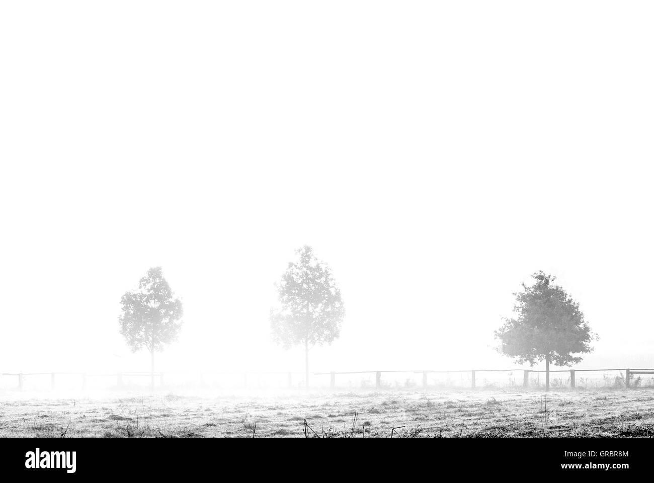 La nebbia In Osnabrücker Land Foto Stock