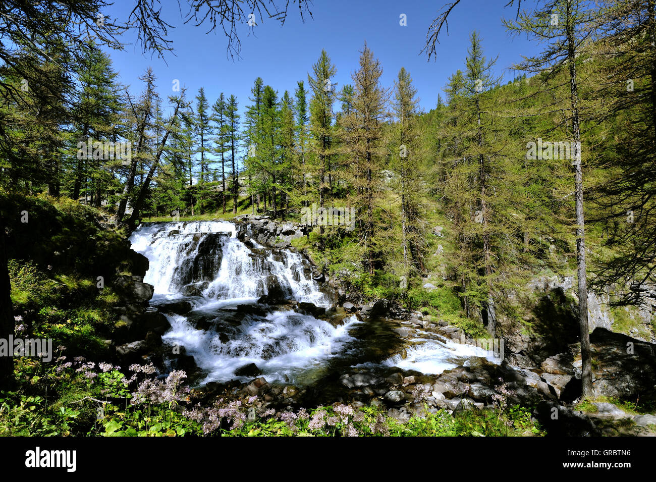 Cascata sognante Fontcouverte nella valle del fiume Clarée grandangolare e il circostante il larice, sulle Alpi francesi, Francia Foto Stock