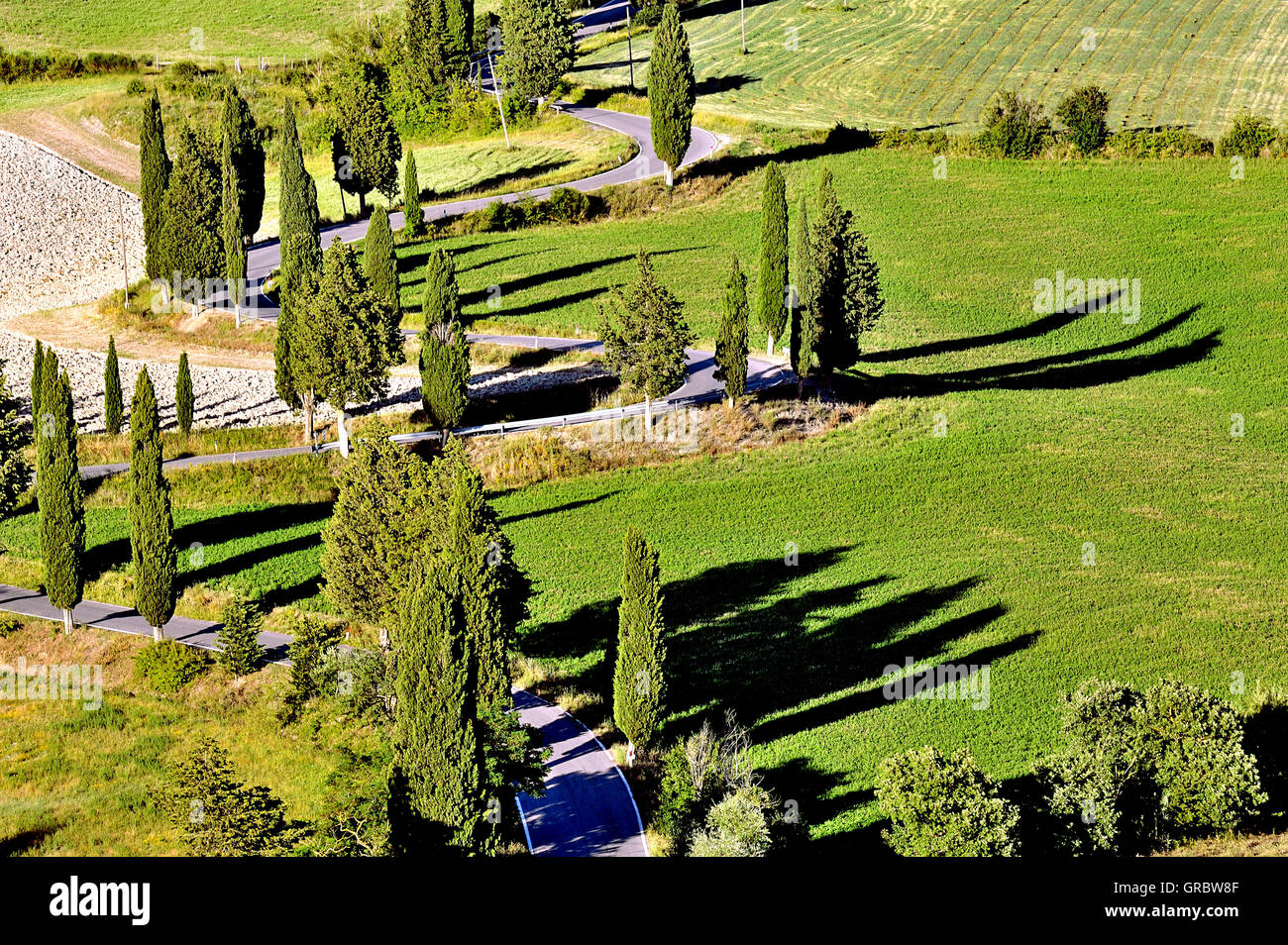 Curva pittoresca strada In Toscana circondata da cipressi, Toscana, Italia Foto Stock