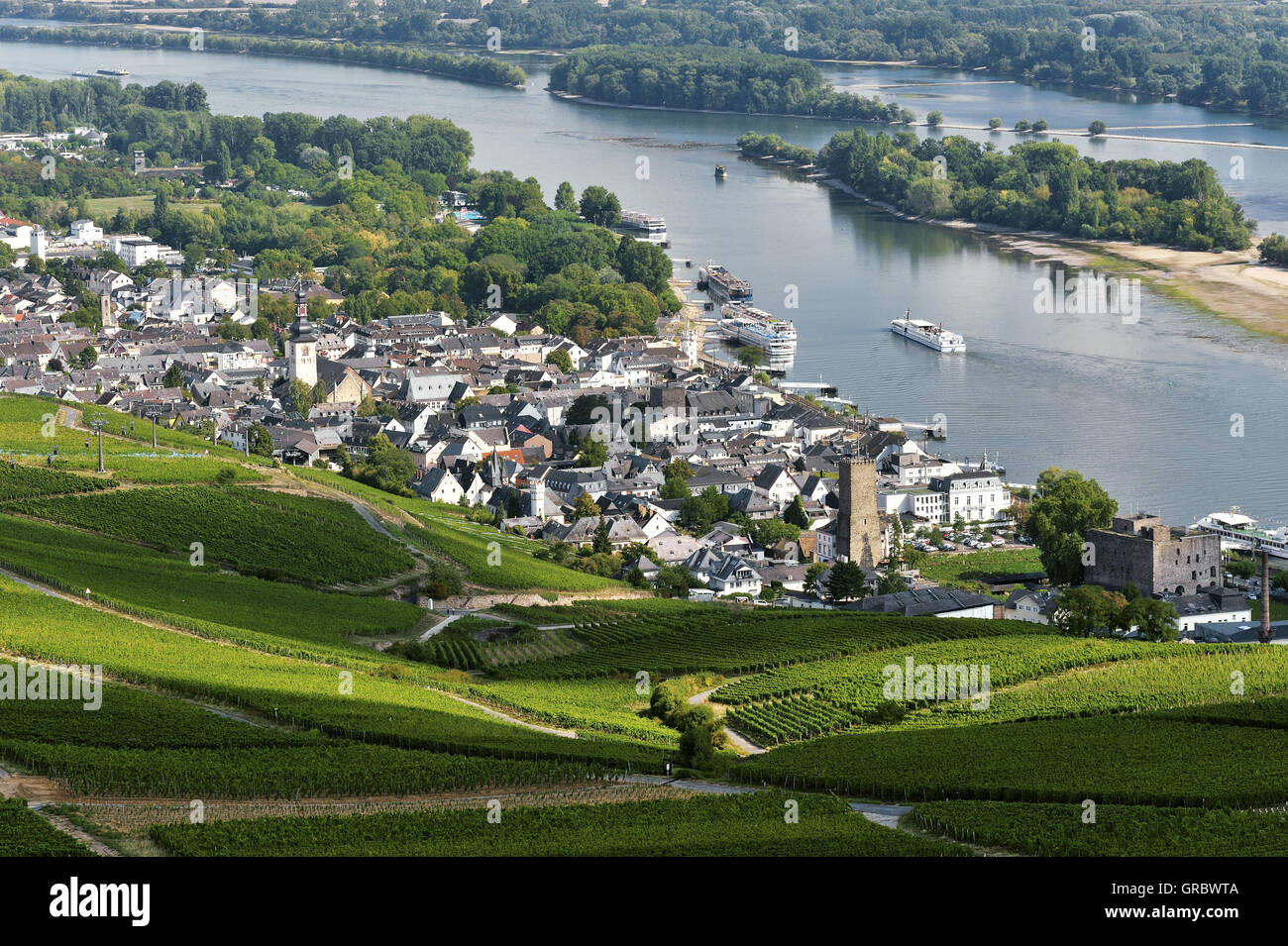 Rüdesheim am Rhein e vigneti, Valle del Reno superiore e centrale, Germania Foto Stock