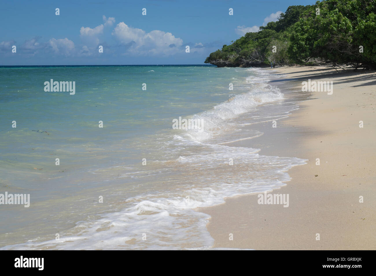 Spiaggia di sabbia bianca, minuscoli onde, cielo blu e nuvole, vegetazione tropicale. Selayar, Sud Sulawsi, Indonesia Foto Stock