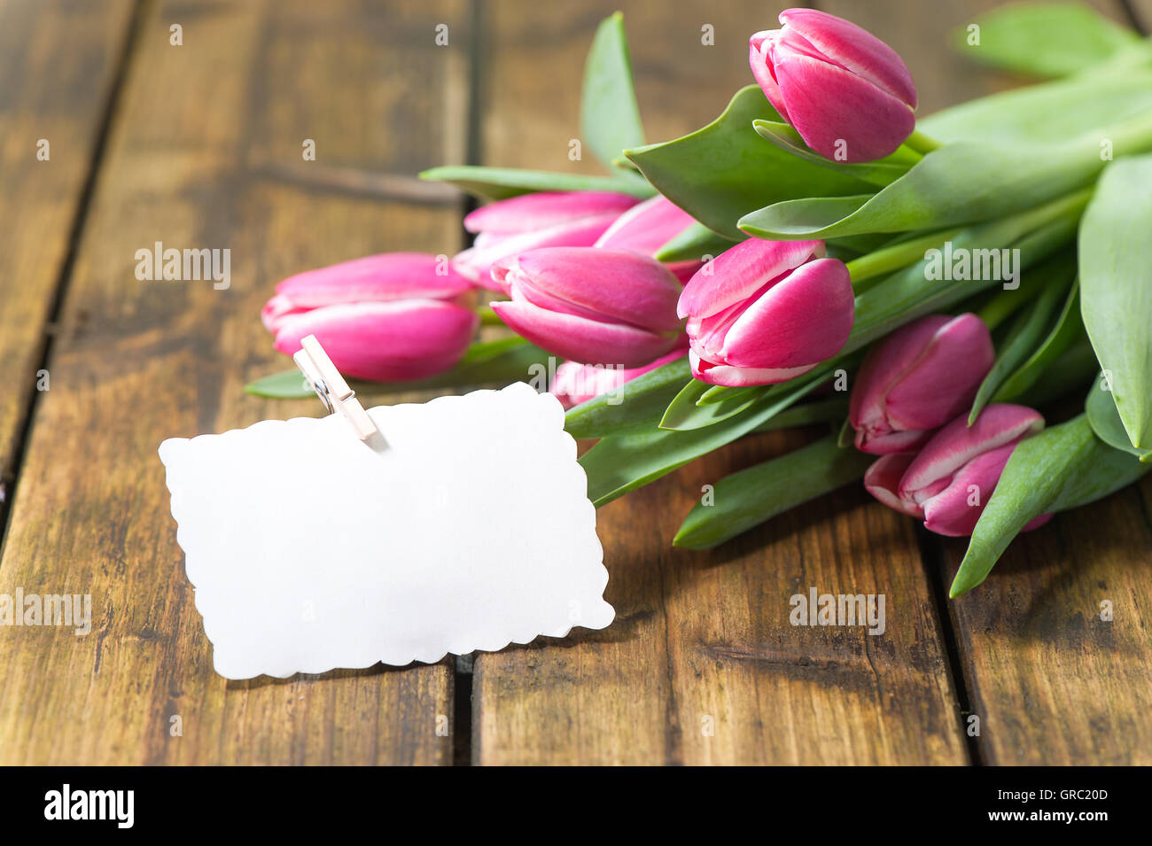 Tulipani viola sul vecchio tavolo in legno Foto Stock