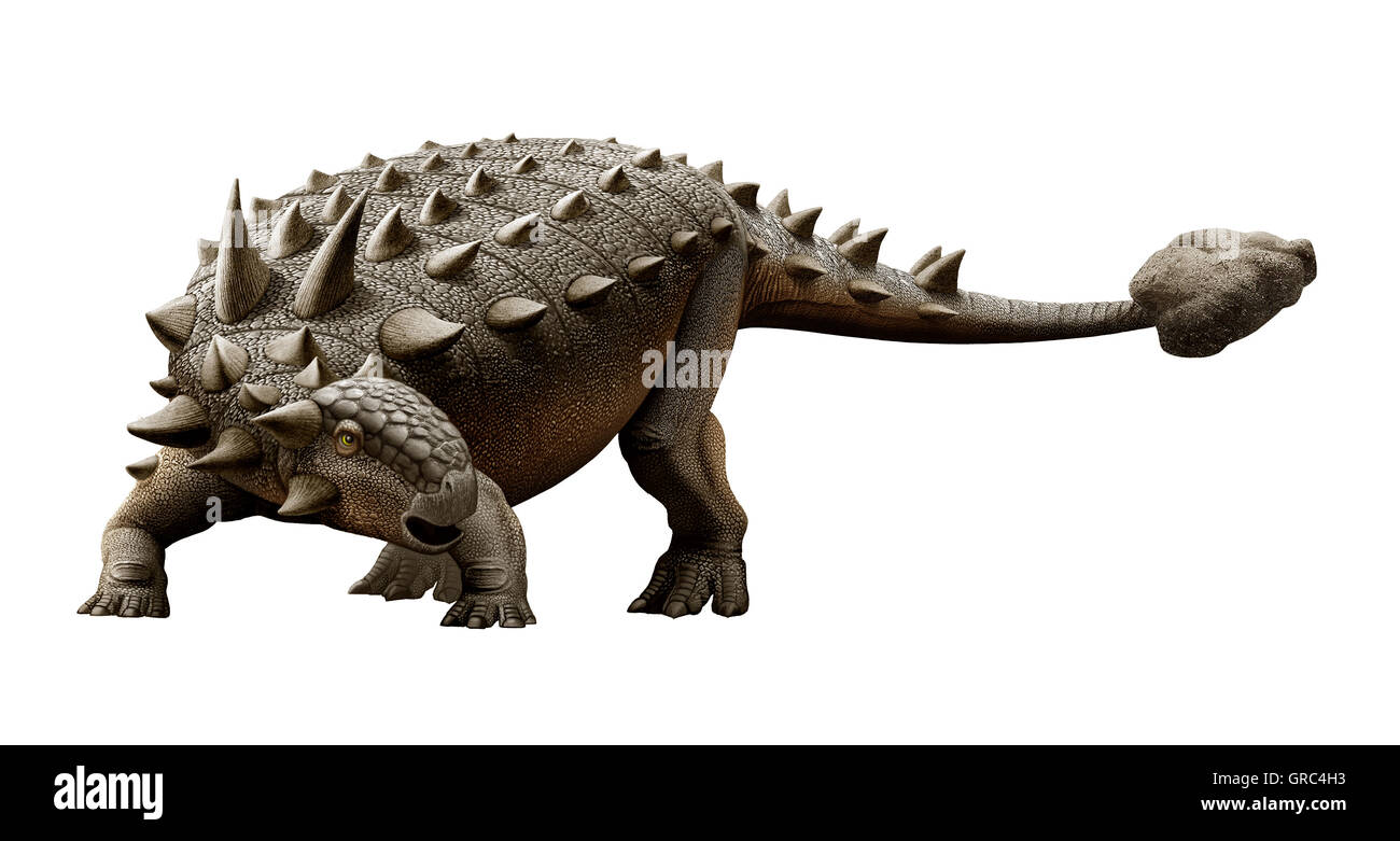 Euoplocephalus è uno dei più grandi erbivori dinosauri ankylosaurian che visse nel Cretaceo Foto Stock