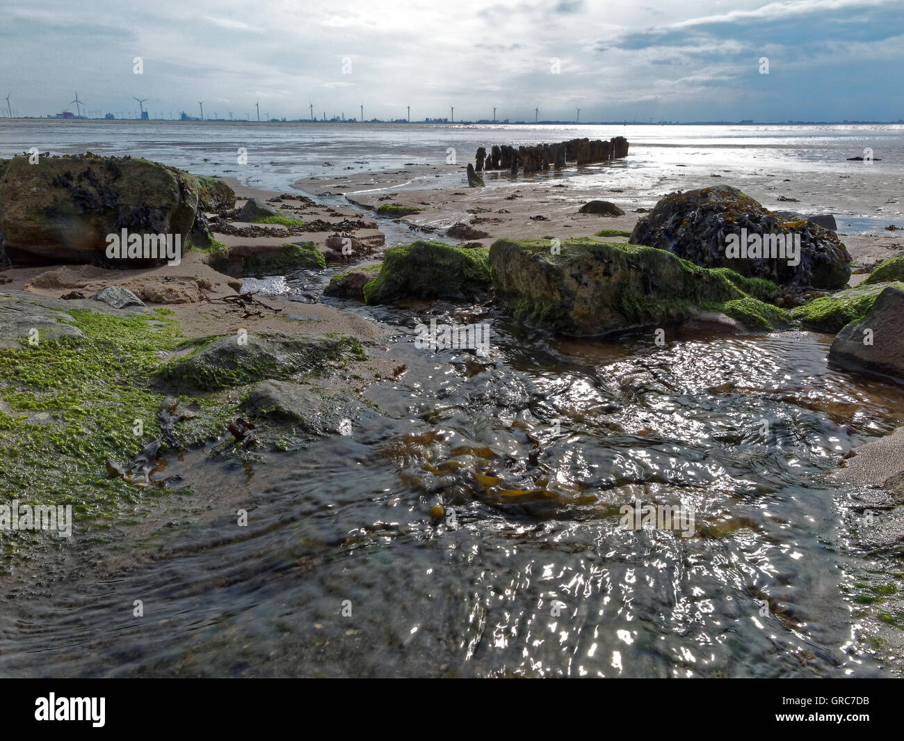 Pool di marea in Watt Foto Stock