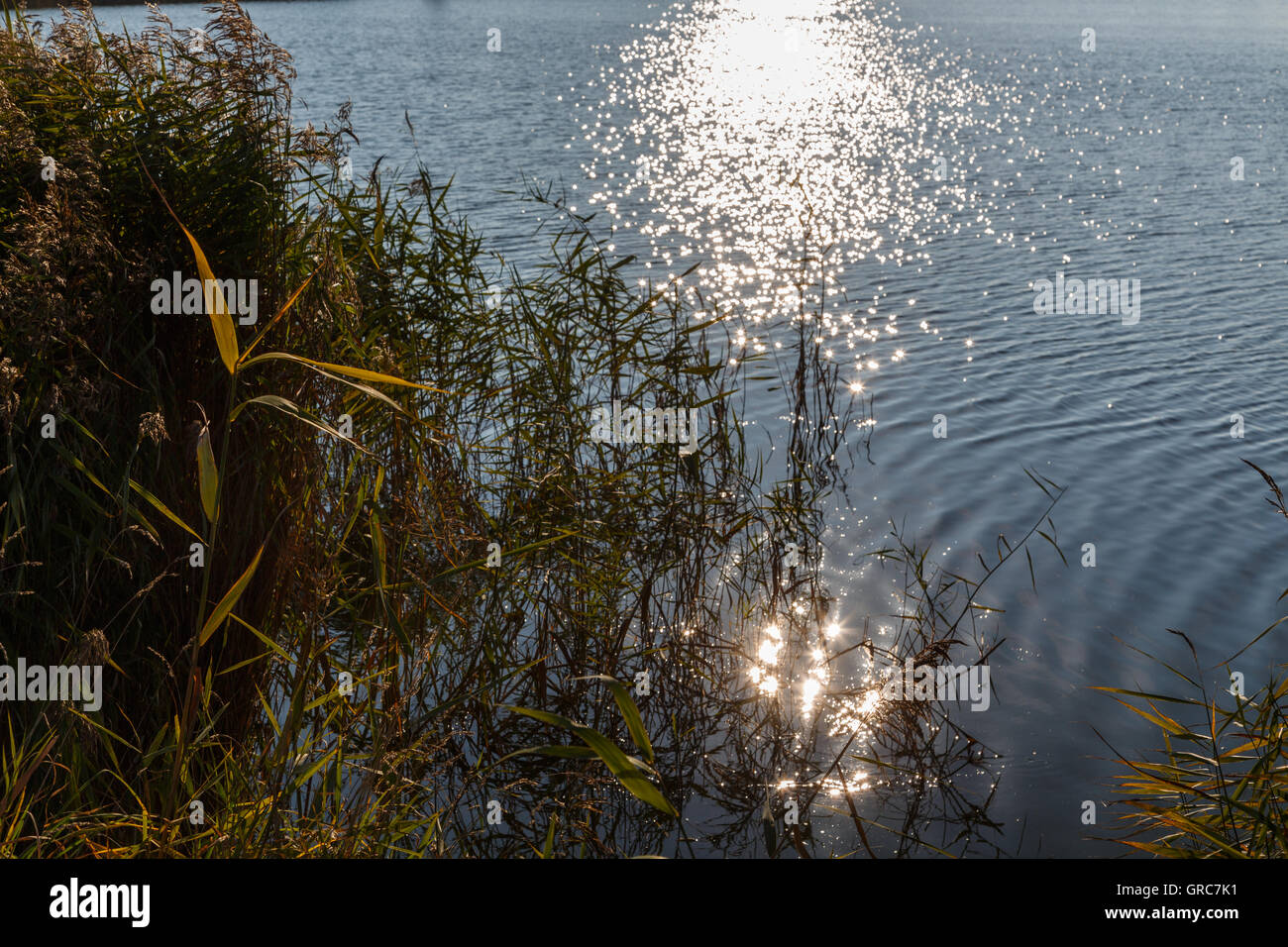 Spiriti di luce nel lago Foto Stock