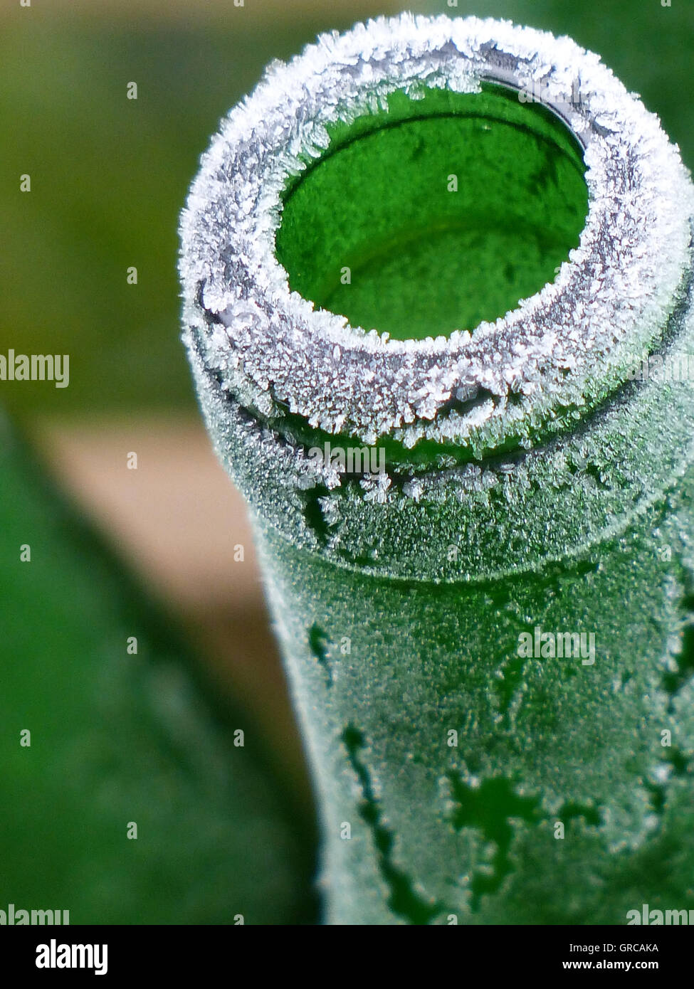 Vuoto verde bottiglia di vino, ghiacciato Foto Stock