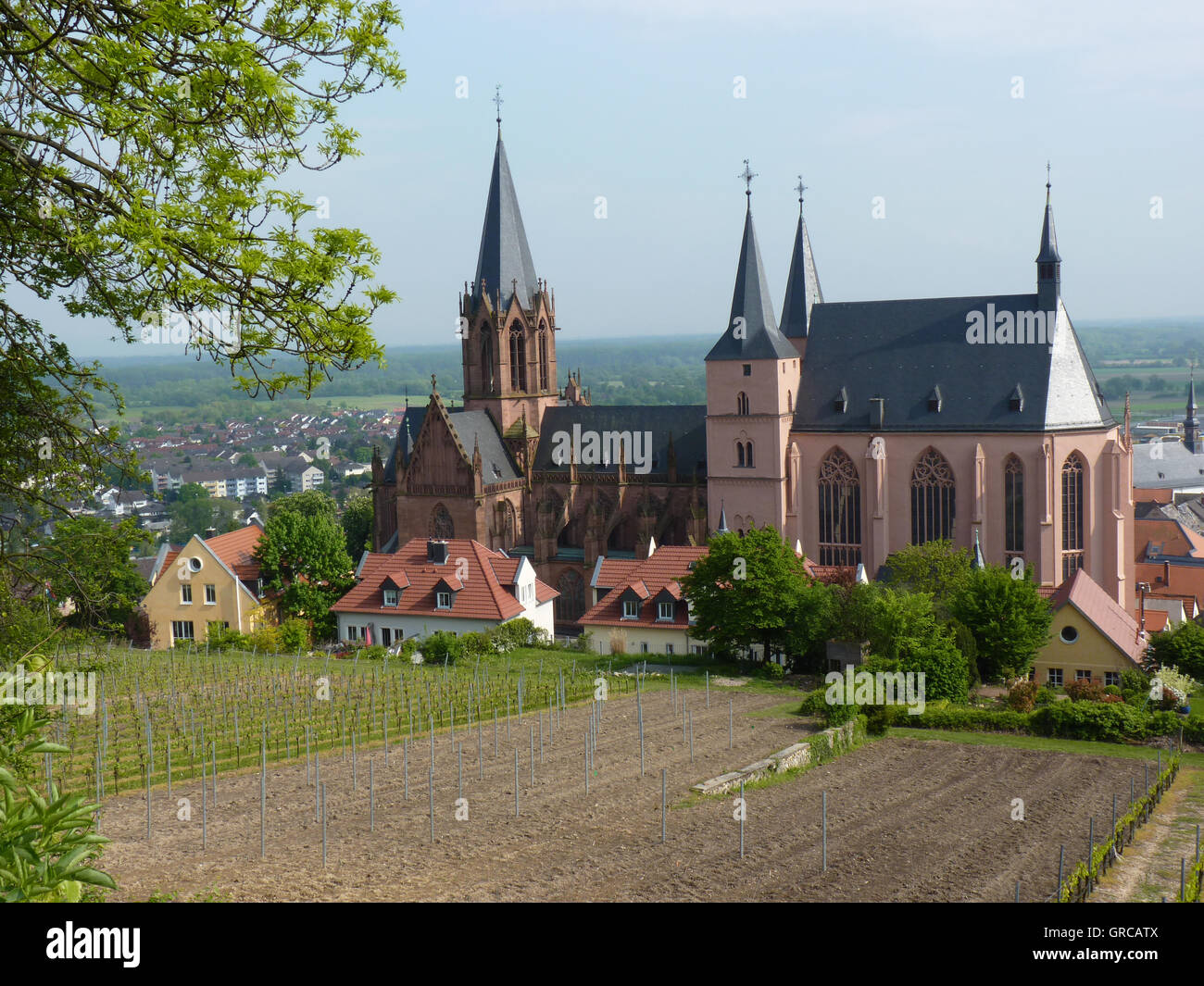 Chiesa Katharinenkirche a Oppenheim, Renania Palatinato, Germania, Europa Foto Stock
