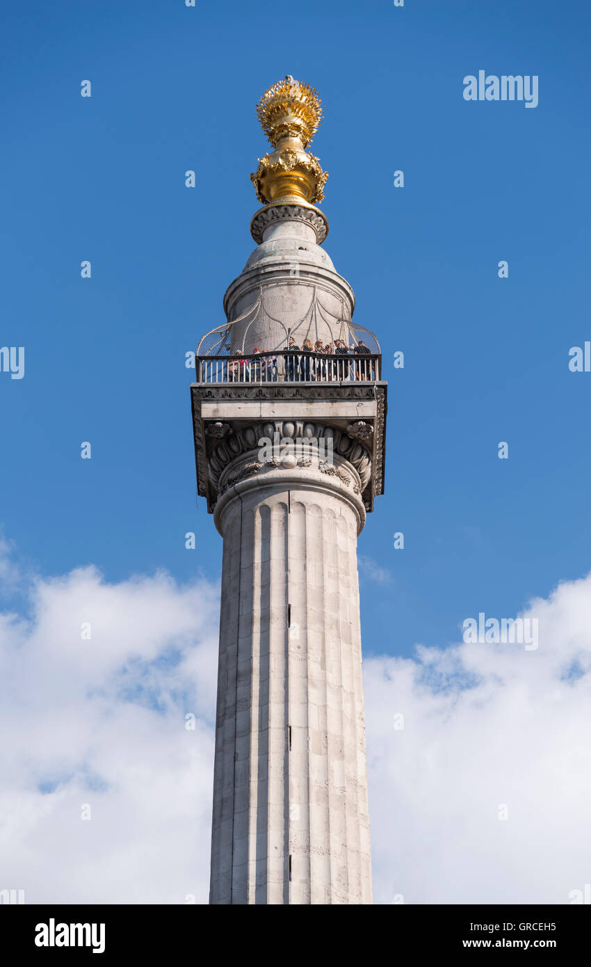Il monumento al Grande Incendio di Londra, una colonna dorico nella City di Londra, commemora il Grande Incendio di Londra Foto Stock