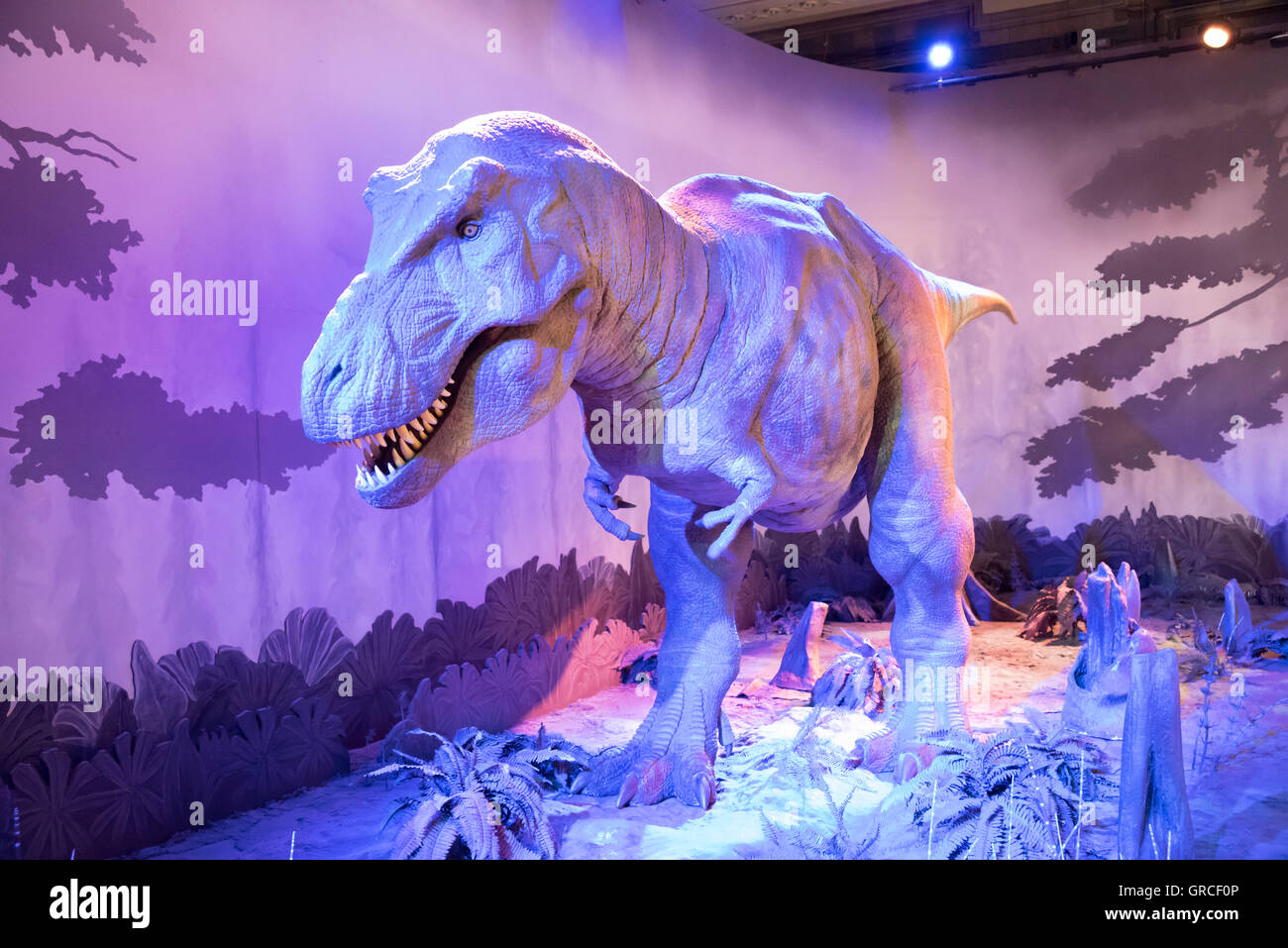 T. Rex al i dinosauri in mostra al Museo di Storia Naturale di Londra, Inghilterra. Foto Stock