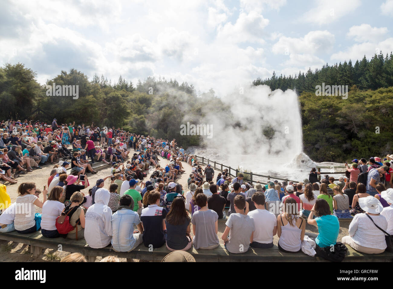 Rotorua, Nuova Zelanda - 25 Febbraio 2015: turisti guardando l'eruzione di Lady Knox geyser in Wai-o-Tapu Parco Nazionale Foto Stock