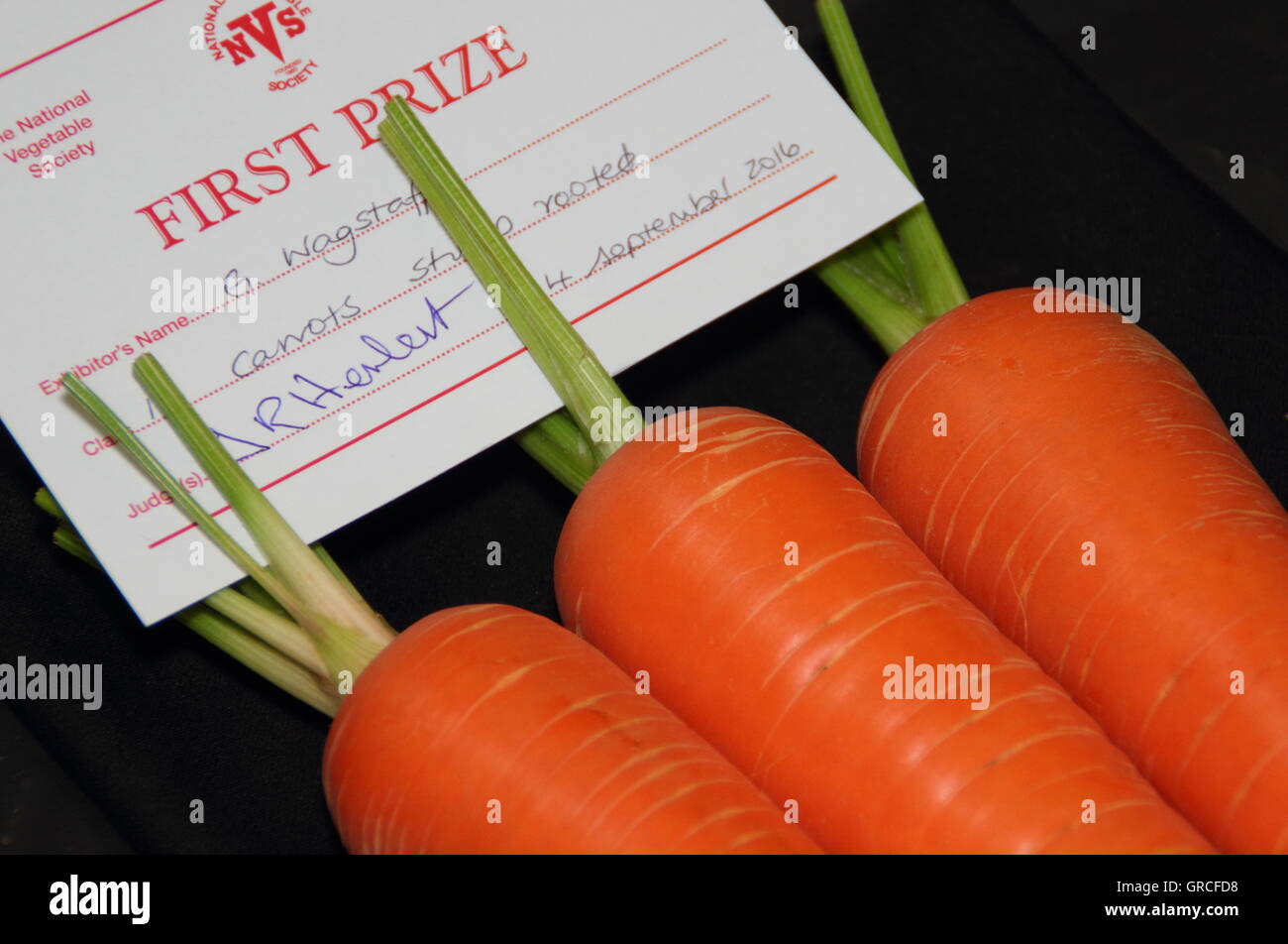 Appena raccolto 'Sweet candela' carote net il primo premio in un tradizionale britannica la frutta e la verdura mostrano, England, Regno Unito Foto Stock