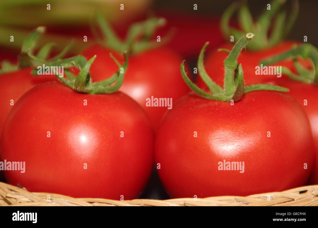 Pomodori "Cedrico" appena raccolti in mostra ad un tradizionale spettacolo orticolo inglese. REGNO UNITO Foto Stock