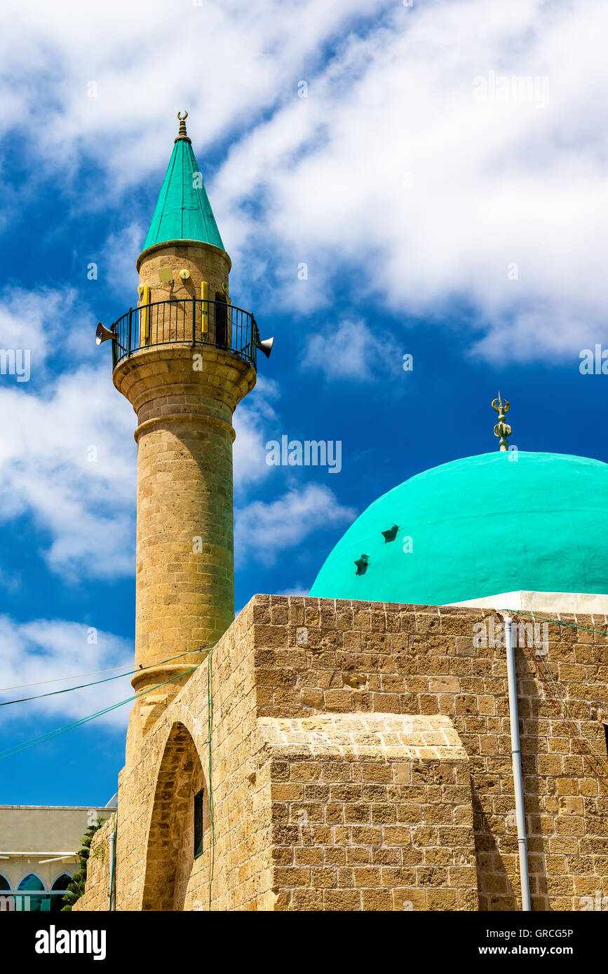 Sinan Basha moschea nella città vecchia di Acri Foto Stock