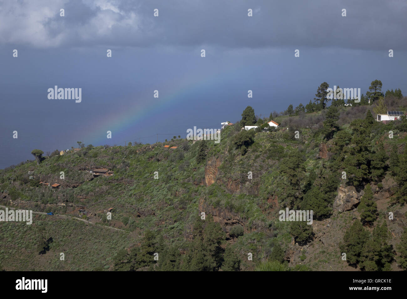 Rainbow sulla cresta della montagna con alberi di pino e Dragos nel nord-ovest di La Palma. Sullo sfondo dell'Oceano Atlantico e Hevy pioggia nuvole. Isole Canarie. Foto Stock