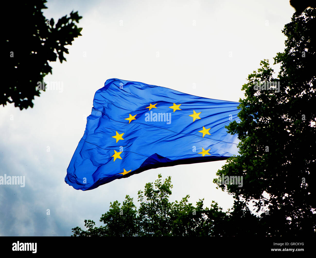 Bandiera europea dietro gli alberi Foto Stock