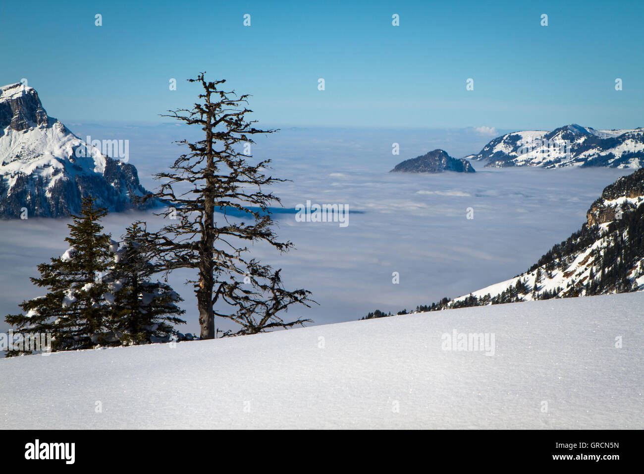 Al di sopra delle nuvole nelle Alpi Foto Stock
