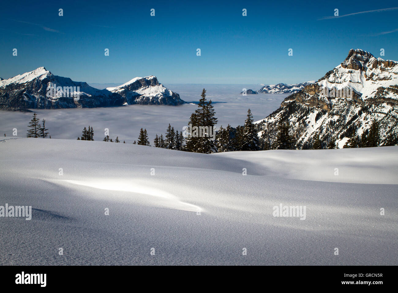 Al di sopra delle nuvole nelle Alpi Foto Stock