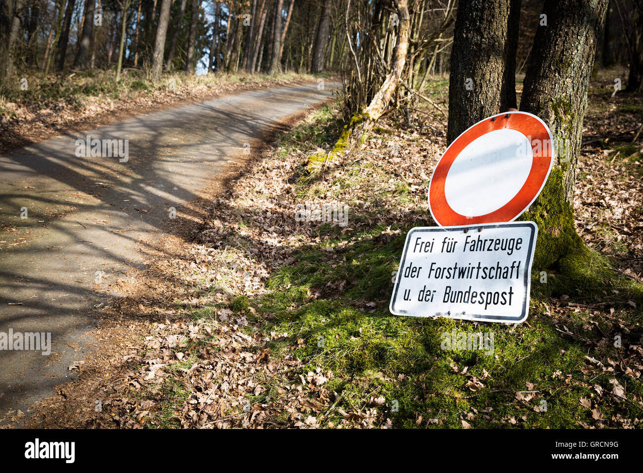 Sentieri nella foresta, portalettere, cartello stradale, Testo Foto Stock