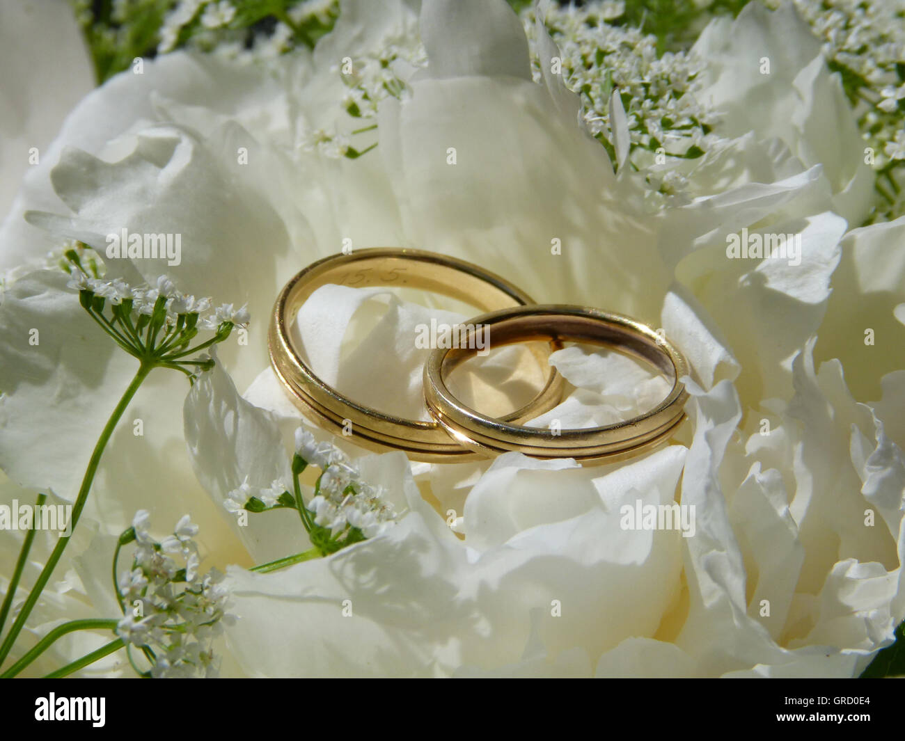 Simboli di nozze, nozze bianco fiori e Golden gli anelli di nozze Foto Stock