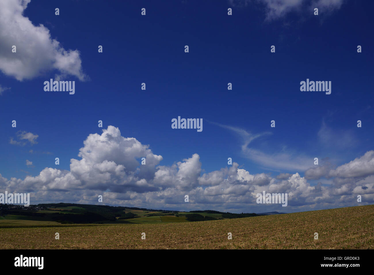 Paesaggio pittoresco in Eifel, Renania-Palatinato, Germania, Europa Foto Stock